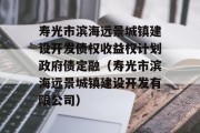 寿光市滨海远景城镇建设开发债权收益权计划政府债定融（寿光市滨海远景城镇建设开发有限公司）