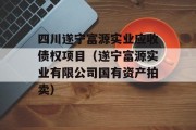 四川遂宁富源实业应收债权项目（遂宁富源实业有限公司国有资产拍卖）