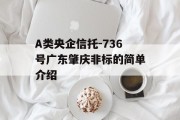 A类央企信托-736号广东肇庆非标的简单介绍