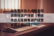 山东枣庄台儿庄财金投资债权资产项目（枣庄市台儿庄国有资产经营有限公司评级）