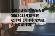 菏泽市定陶区圣陶农业发展2023年债权转让计划（菏泽市定陶区农业局招标网）