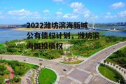 2022潍坊滨海新城公有债权计划，潍坊滨海国投债权