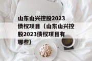 山东山兴控股2023债权项目（山东山兴控股2023债权项目有哪些）