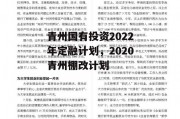 青州国有投资2022年定融计划，2020青州棚改计划