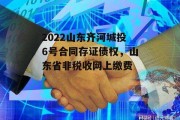 2022山东齐河城投6号合同存证债权，山东省非税收网上缴费