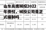 山东高唐城投2022年债权，城投公司是正式编制吗