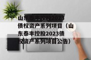 山东泰丰控股2023债权资产系列项目（山东泰丰控股2023债权资产系列项目公告）