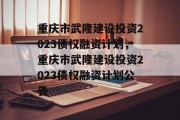 重庆市武隆建设投资2023债权融资计划，重庆市武隆建设投资2023债权融资计划公告