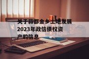 关于蒜都金乡土地发展2023年政信债权资产的信息