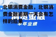 北银消费金融，北银消费金融逾期一天会有怎样的后果