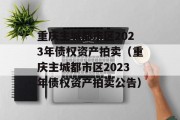 重庆主城都市区2023年债权资产拍卖（重庆主城都市区2023年债权资产拍卖公告）