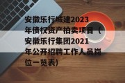 安徽乐行城建2023年债权资产拍卖项目（安徽乐行集团2021年公开招聘工作人员岗位一览表）