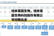 桂林莱茵生物，桂林莱茵生物科技股份有限公司招聘信息