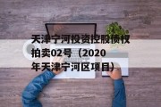 天津宁河投资控股债权拍卖02号（2020年天津宁河区项目）