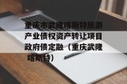 重庆市武隆喀斯特旅游产业债权资产转让项目政府债定融（重庆武隆 喀斯特）