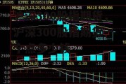 沪深300股指期货，沪深300股指期货一个点多少钱