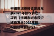 柳州市城市投资建设发展2023年债权转让项目（柳州市城市投资建设发展2023年债权转让项目招标）