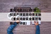 重庆鸿业2023年债权资产项目政府债定融（重庆鸿业实业集团有限公司评级）