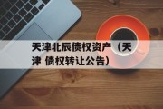 天津北辰债权资产（天津 债权转让公告）