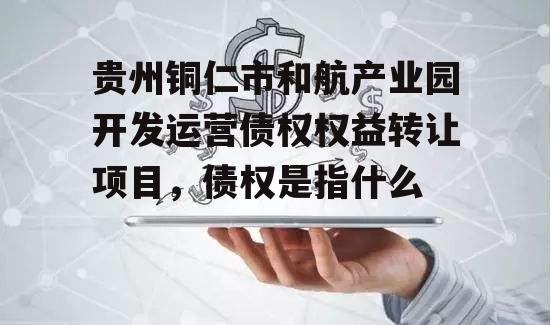 贵州铜仁市和航产业园开发运营债权权益转让项目，债权是指什么