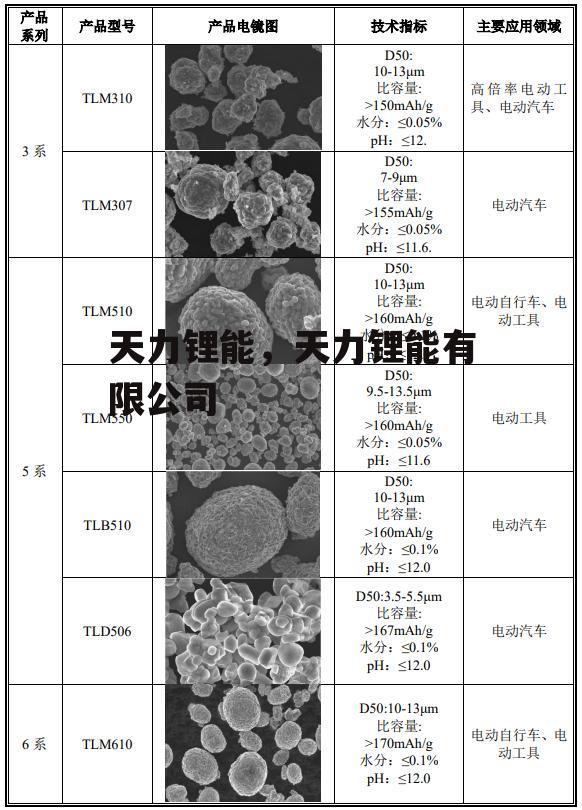 天力锂能，天力锂能有限公司