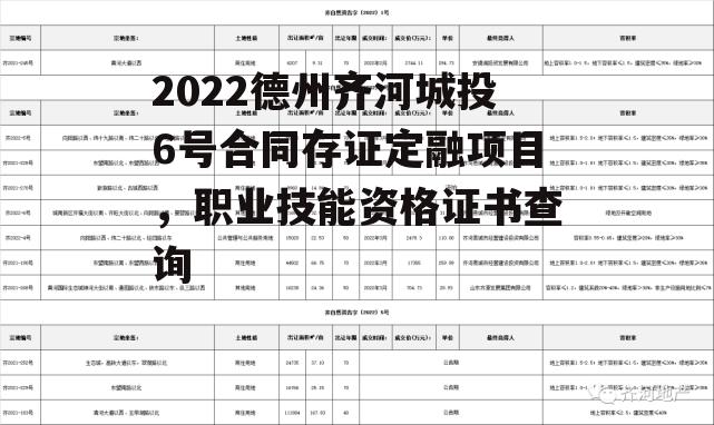 2022德州齐河城投6号合同存证定融项目，职业技能资格证书查询