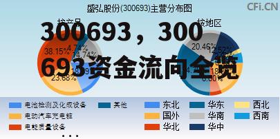 300693，300693资金流向全览