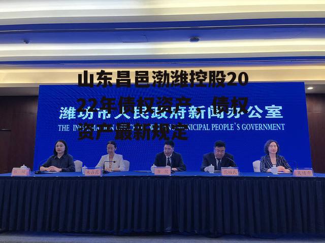 山东昌邑渤潍控股2022年债权资产，债权资产最新规定