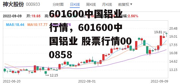 601600中国铝业行情，601600中国铝业 股票行情000858