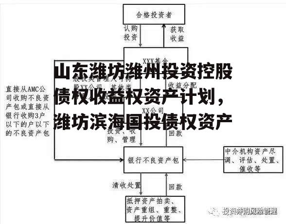 山东潍坊潍州投资控股债权收益权资产计划，潍坊滨海国投债权资产