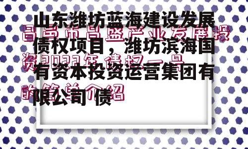 山东潍坊蓝海建设发展债权项目，潍坊滨海国有资本投资运营集团有限公司 债