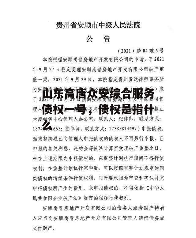 山东高唐众安综合服务债权一号，债权是指什么