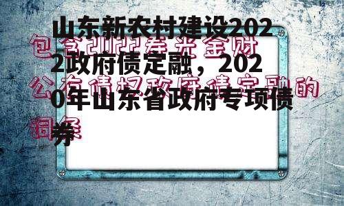 山东新农村建设2022政府债定融，2020年山东省政府专项债券