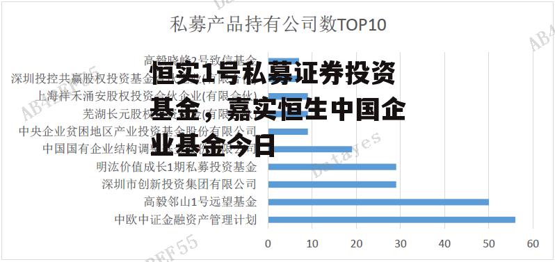 恒实1号私募证券投资基金，嘉实恒生中国企业基金今日