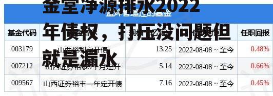 金堂净源排水2022年债权，打压没问题但就是漏水