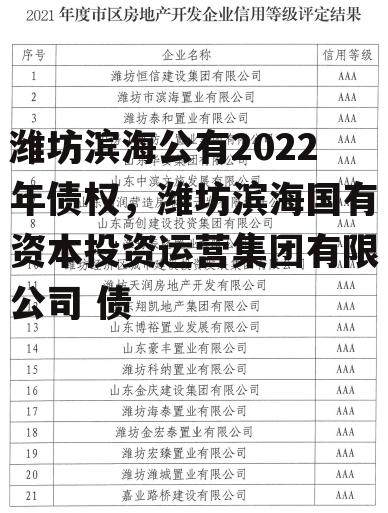 潍坊滨海公有2022年债权，潍坊滨海国有资本投资运营集团有限公司 债