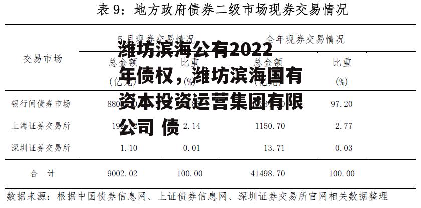 潍坊滨海公有2022年债权，潍坊滨海国有资本投资运营集团有限公司 债