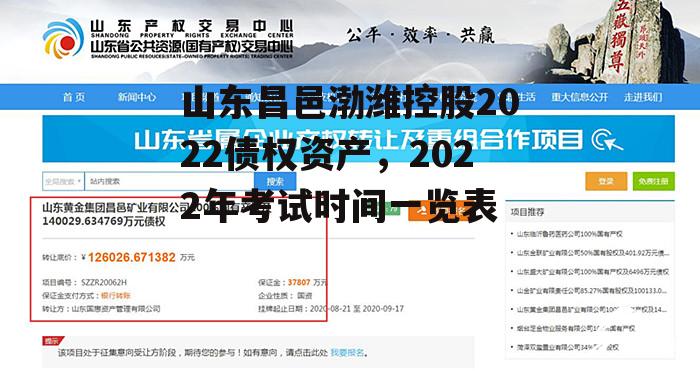 山东昌邑渤潍控股2022债权资产，2022年考试时间一览表