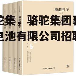 骆驼集，骆驼集团襄阳蓄电池有限公司招聘