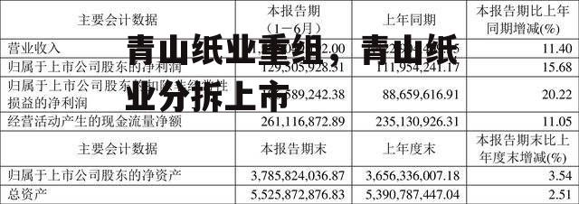 青山纸业重组，青山纸业分拆上市