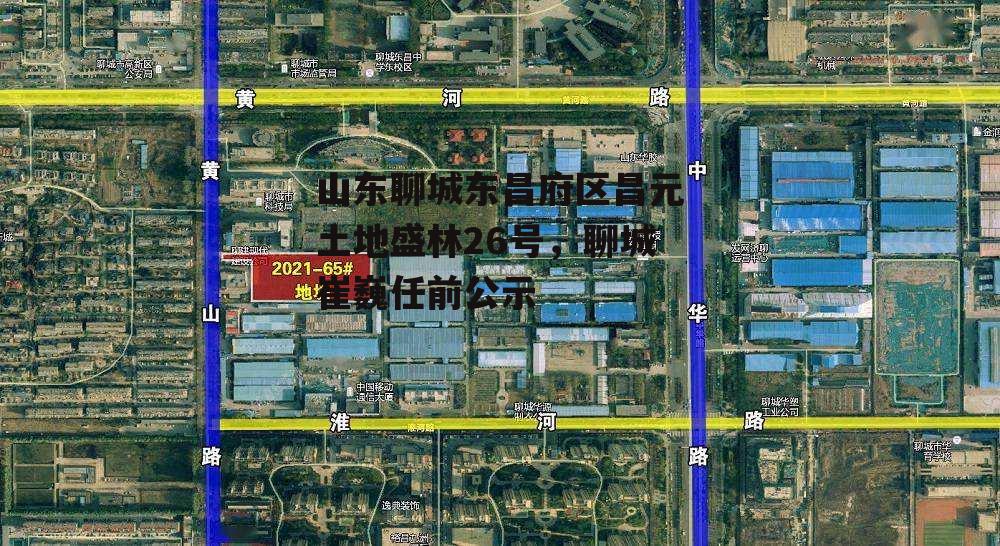 山东聊城东昌府区昌元土地盛林26号，聊城崔巍任前公示