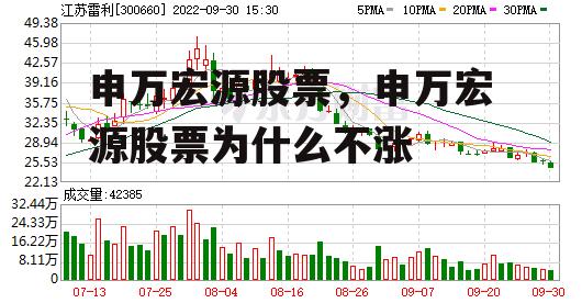 申万宏源股票，申万宏源股票为什么不涨