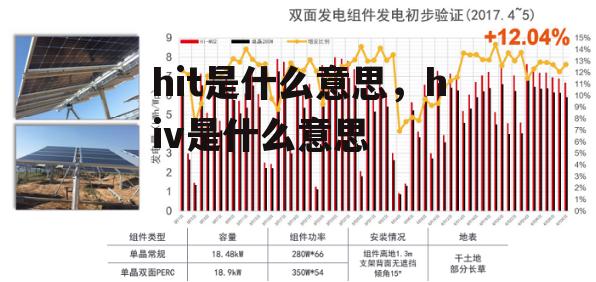 hit是什么意思，hiv是什么意思