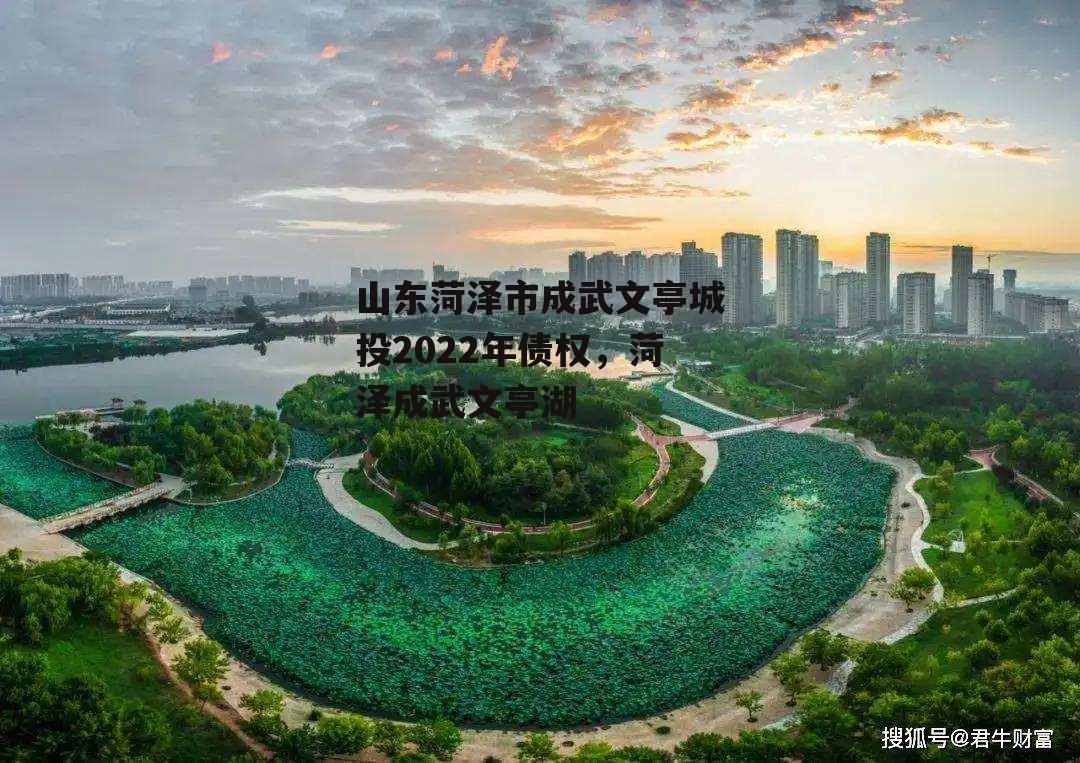 山东菏泽市成武文亭城投2022年债权，菏泽成武文亭湖