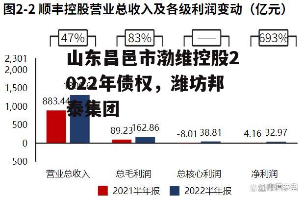 山东昌邑市渤维控股2022年债权，潍坊邦泰集团