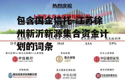 包含国企信托-江苏徐州新沂新源集合资金计划的词条