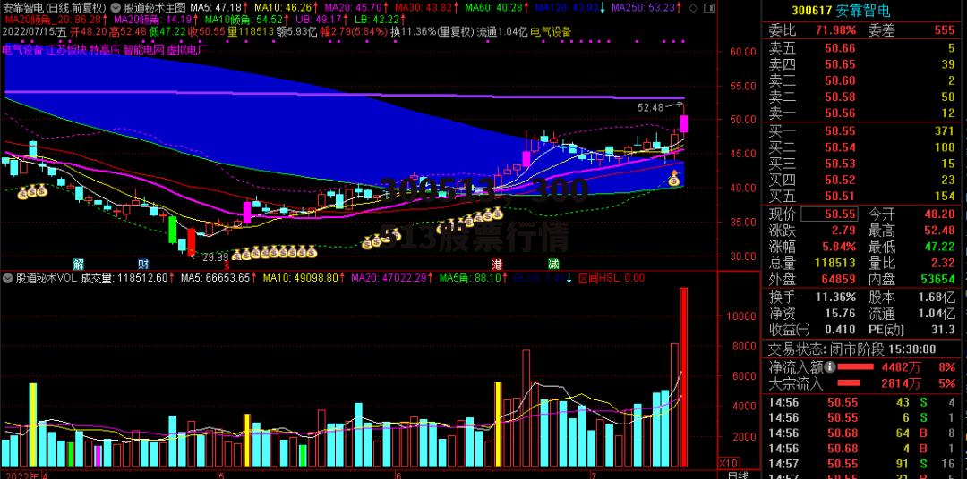 300513，300513股票行情