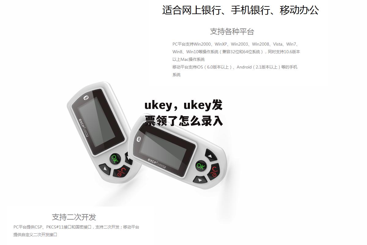 ukey，ukey发票领了怎么录入