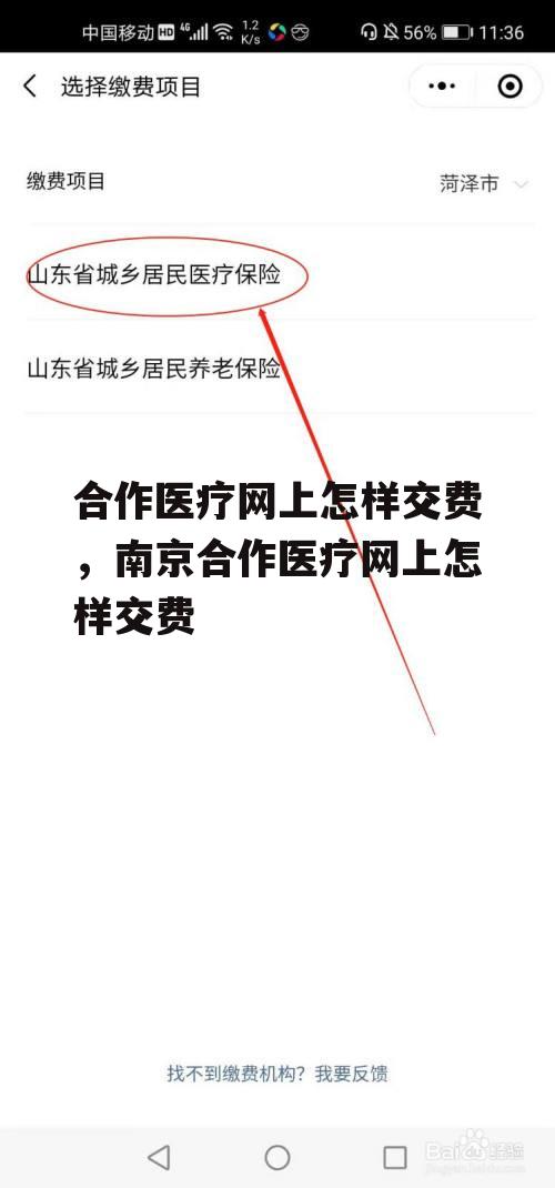 合作医疗网上怎样交费，南京合作医疗网上怎样交费