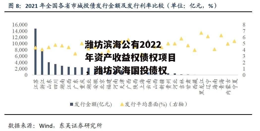 潍坊滨海公有2022年资产收益权债权项目，潍坊滨海国投债权